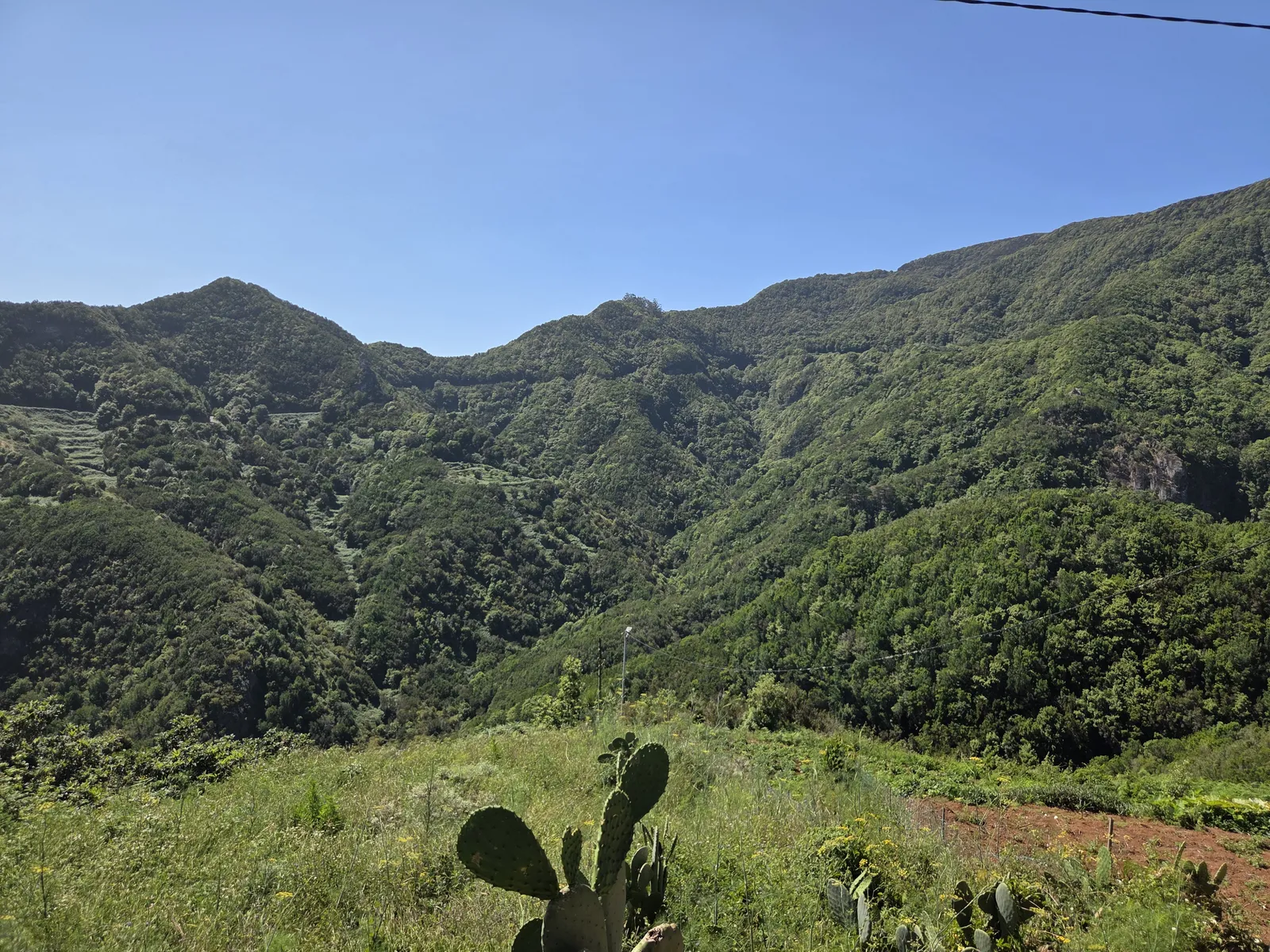 Paisaje montañoso del Parque Rural de Anaga en Tenerife