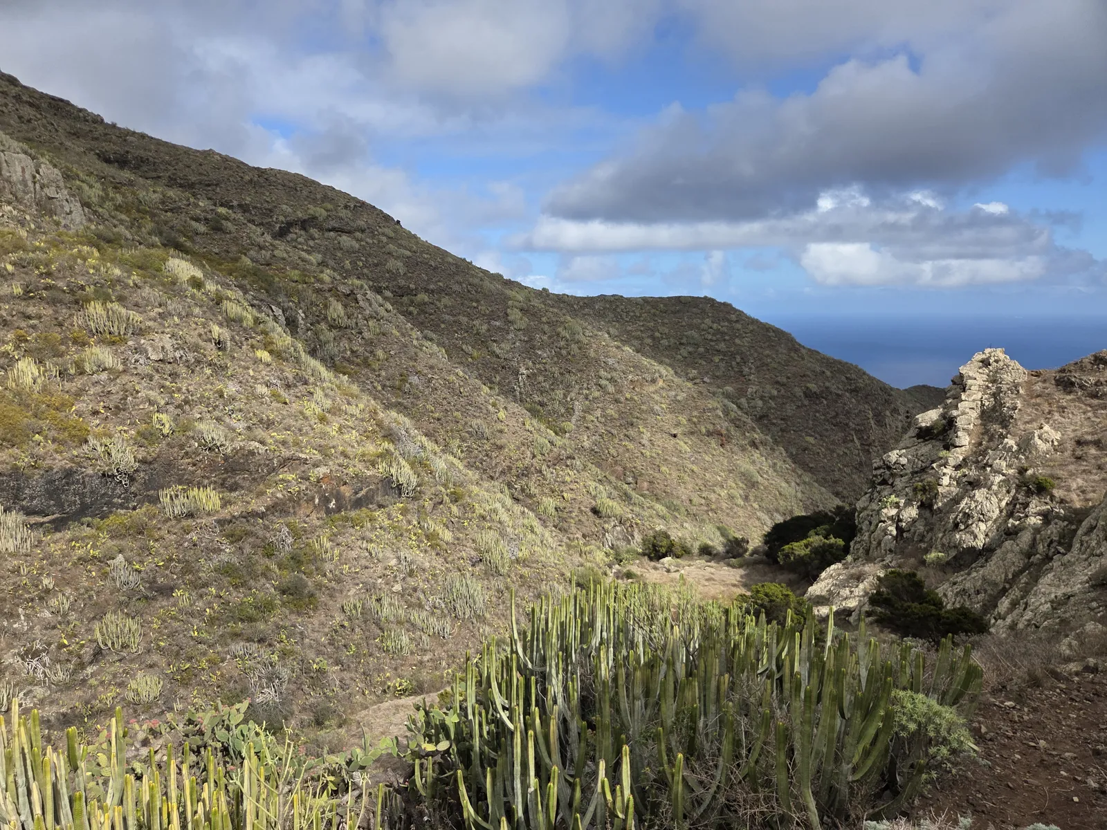 Barranco árido de Anaga recorrido por un sendero entre vegetación