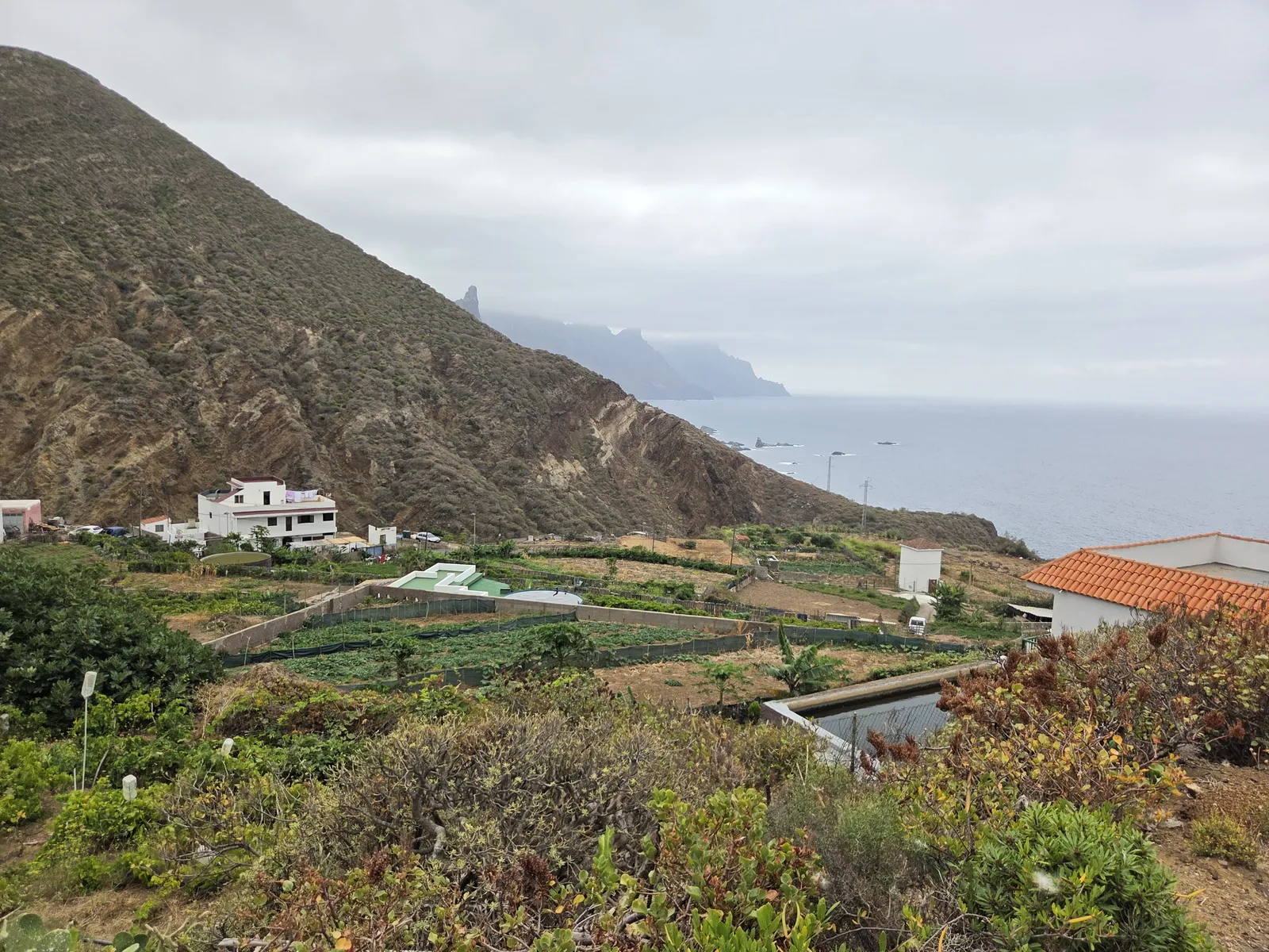 Huertas y casas del caserío de Benijo sobre la costa de Anaga