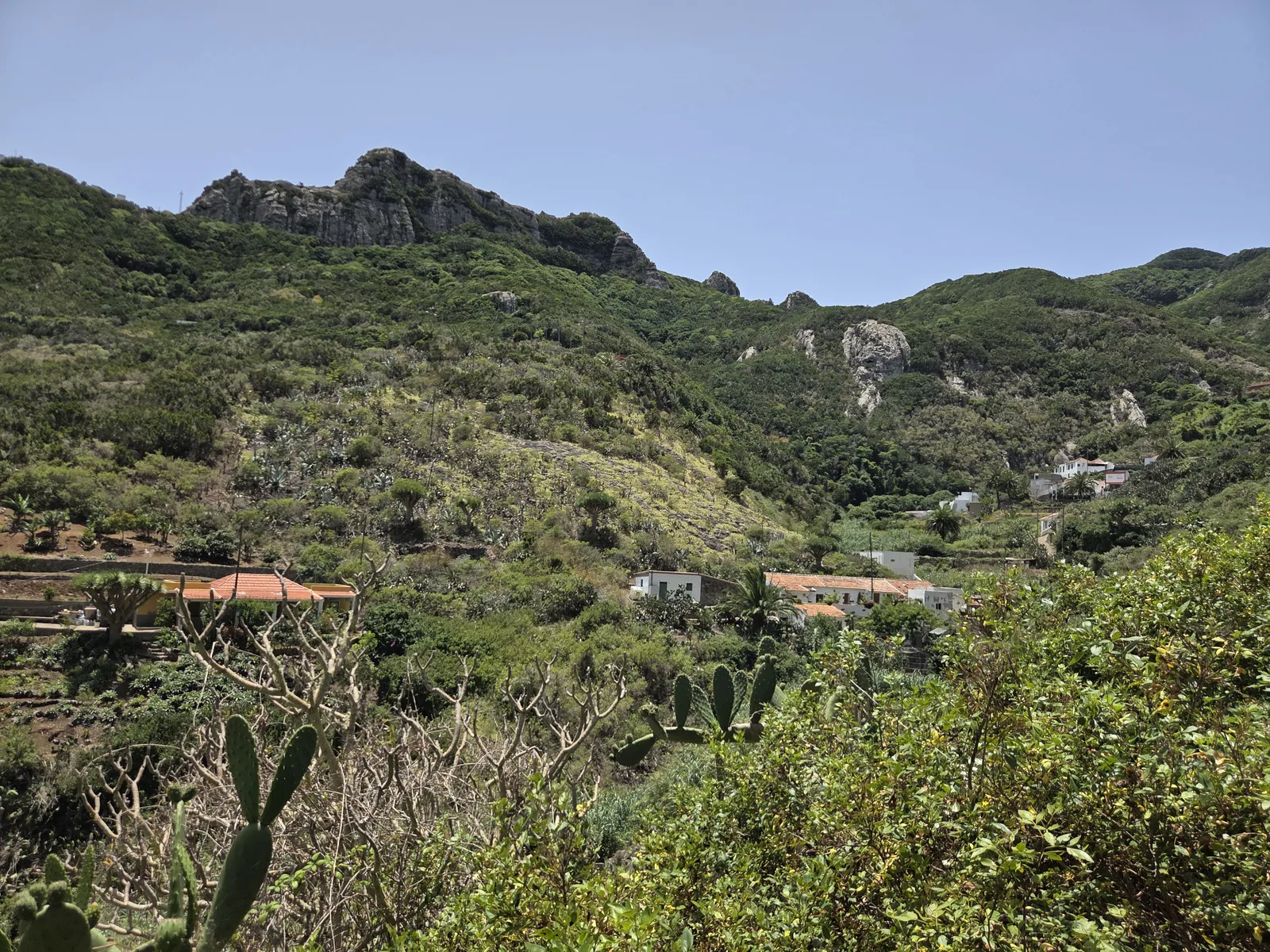 Caserío de Chamorga entre cultivos y montañas cubiertas de vegetación