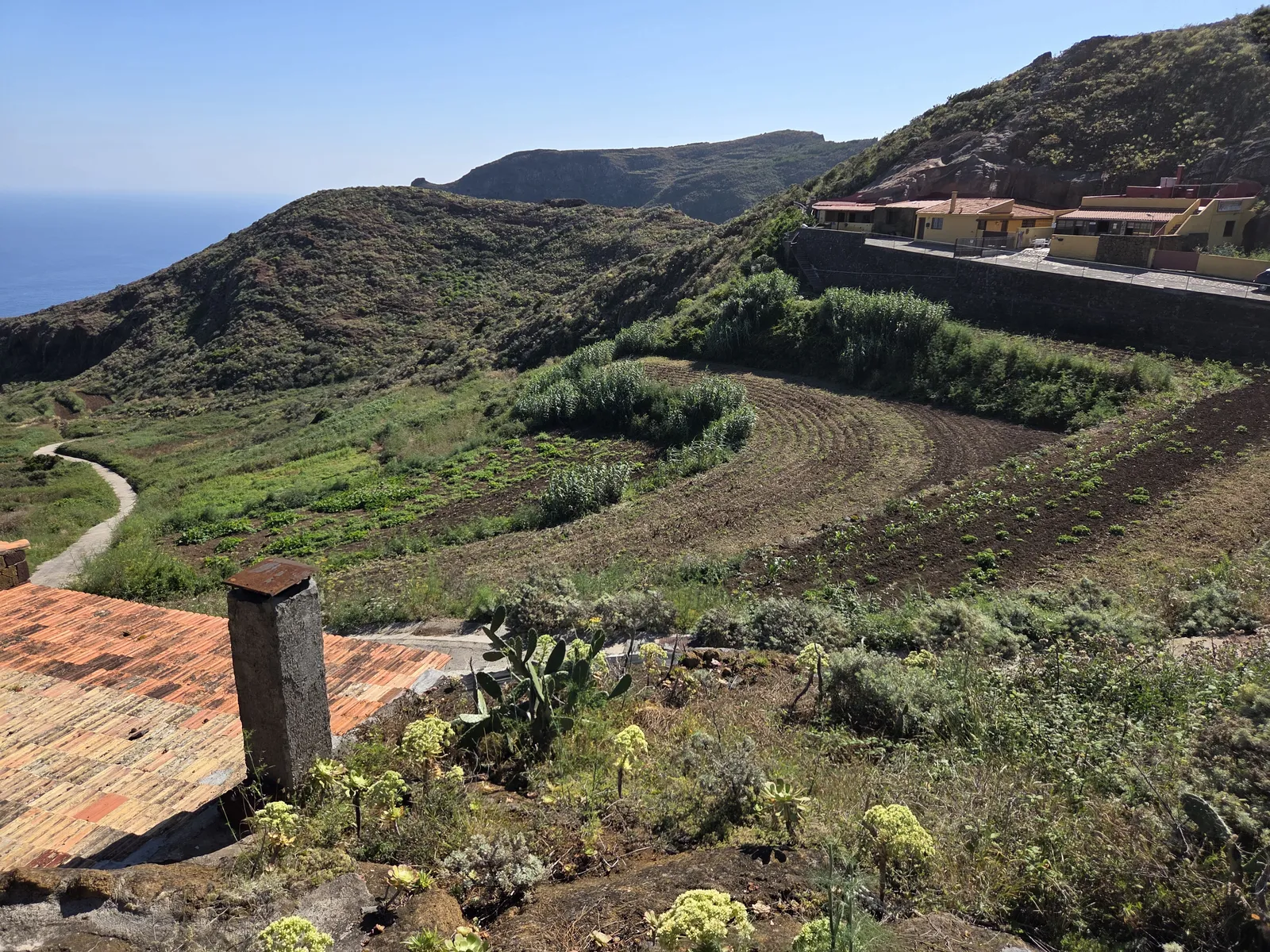Huertos y viviendas integradas en la ladera de Chinamada
