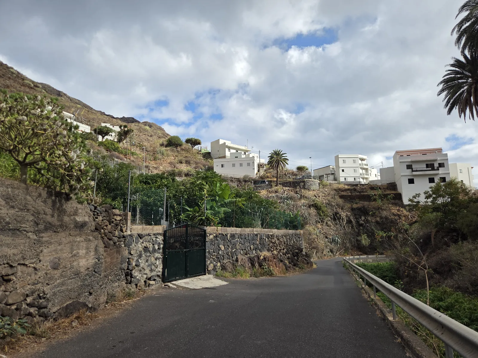 Carretera estrecha entre huertas y viviendas en Igueste de San Andrés