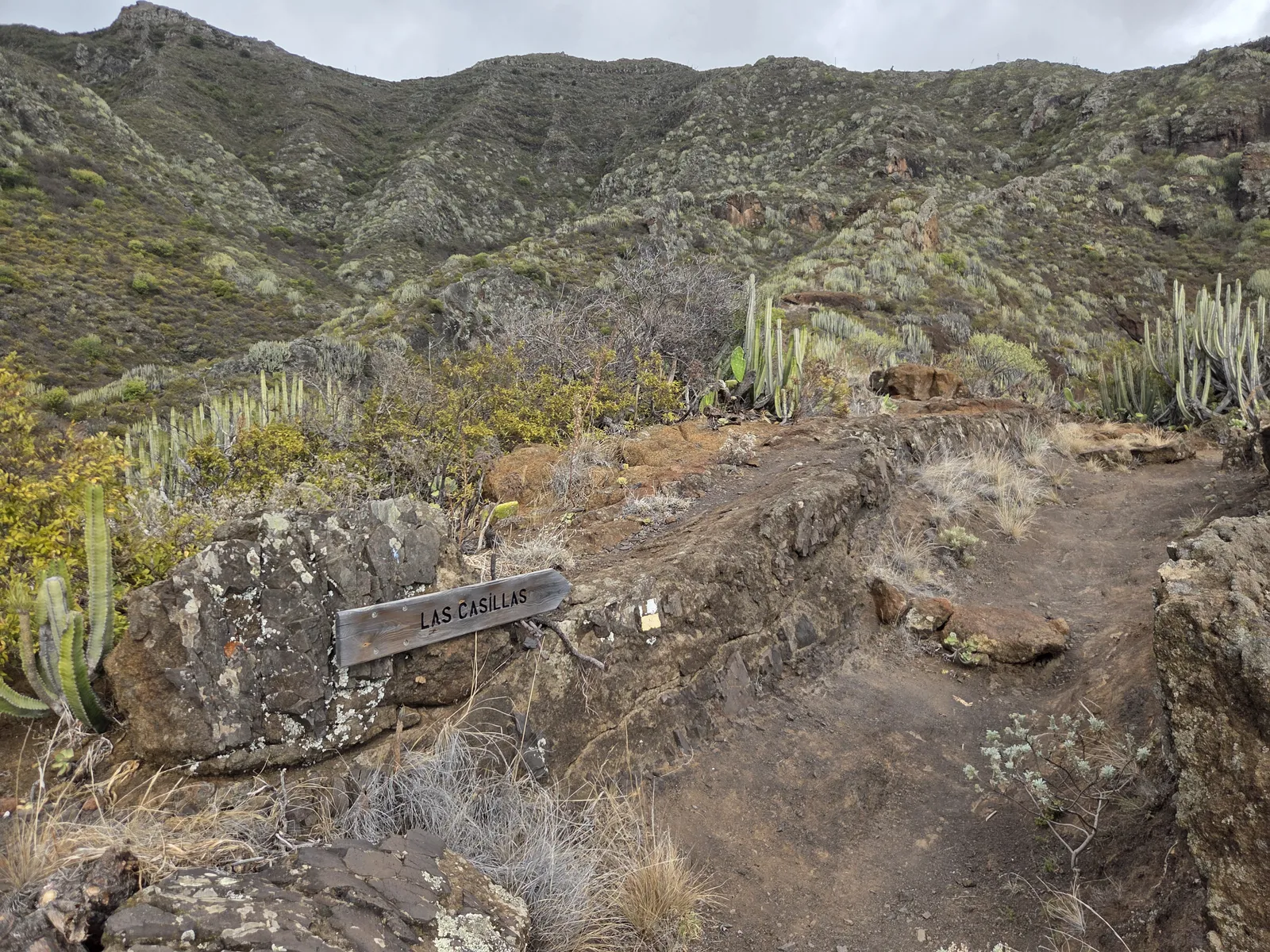 Sendero señalizado hacia Las Casillas entre cardones y laderas rocosas de Anaga