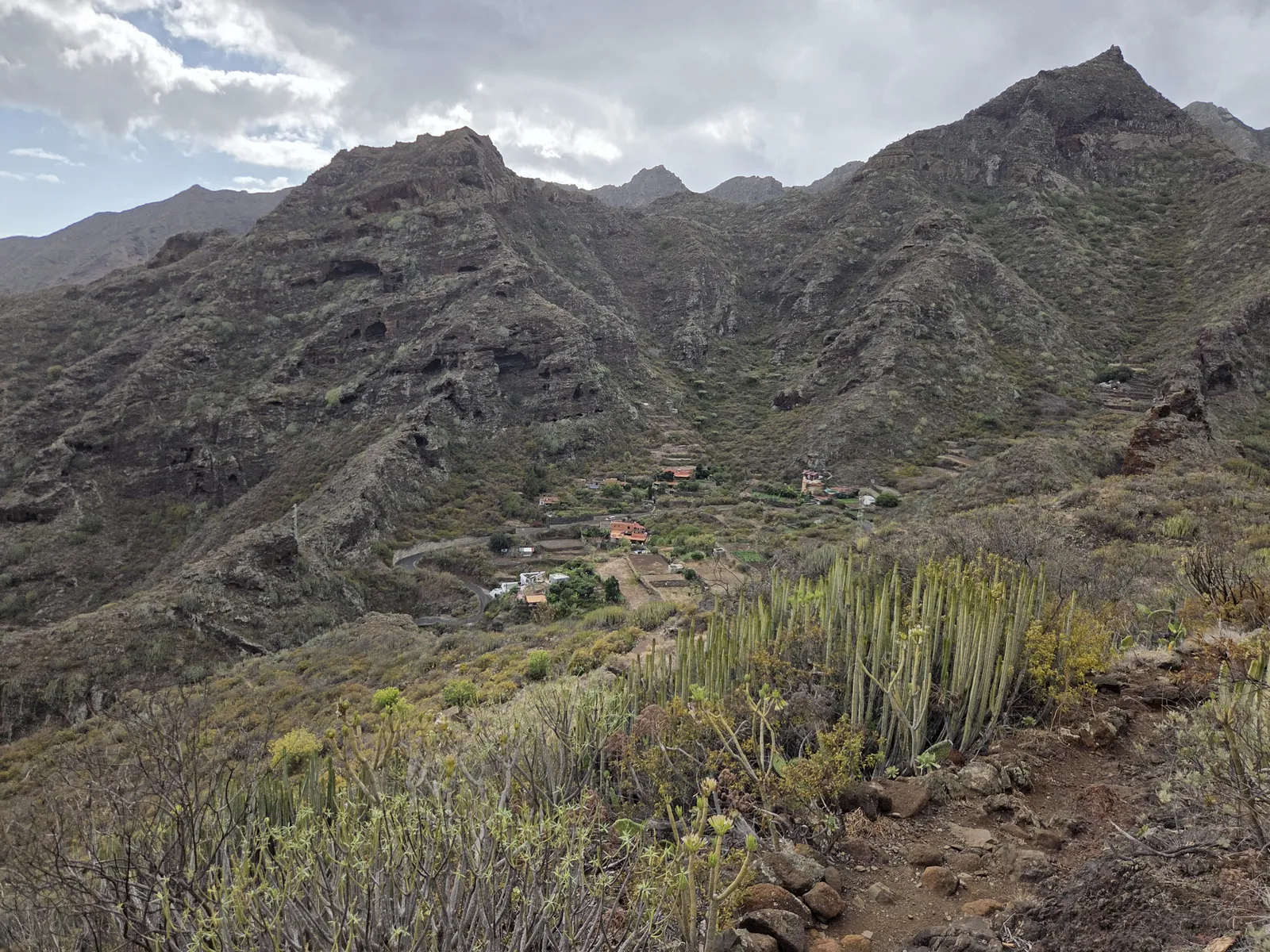 Barranco escarpado y laderas con cardones en el entorno de Lomo Bermejo