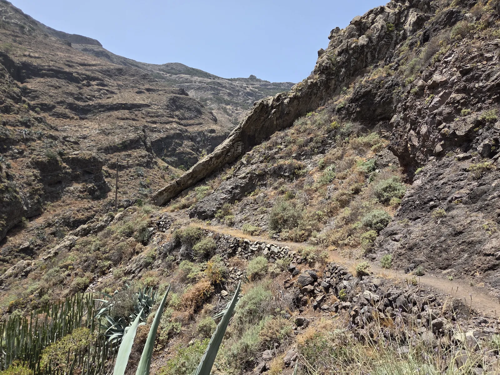 Sendero empedrado que atraviesa una ladera rocosa de Anaga